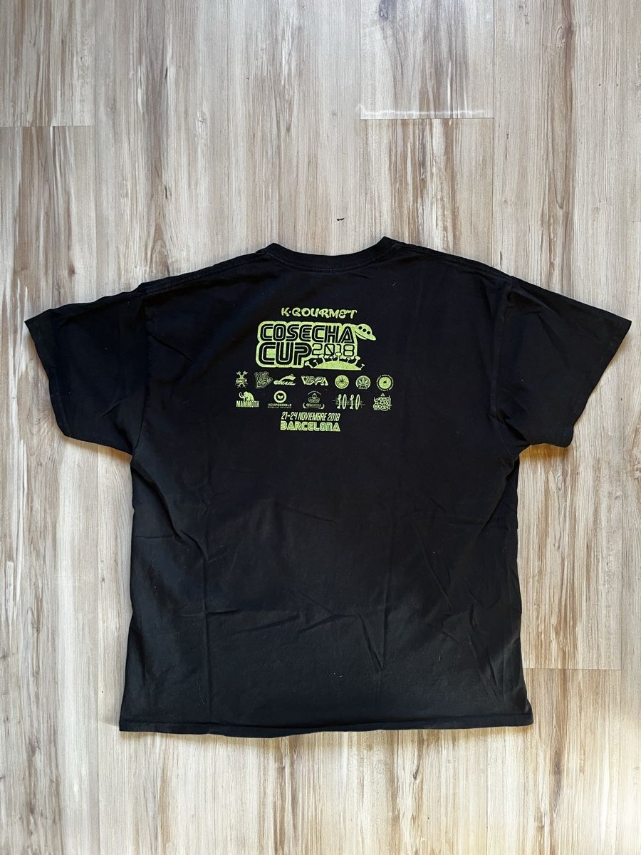 T-shirt: Gildan T-Shirt – Usato da Wigoltingen venduto da _vntg_ 3