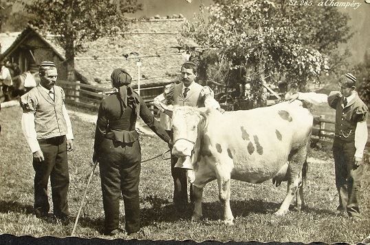 Cartoline postali: CHAMPÉRY Kuh-Handel – Usato da Jona venduto da philajona