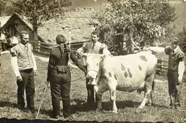 CHAMPÉRY Kuh-Handel