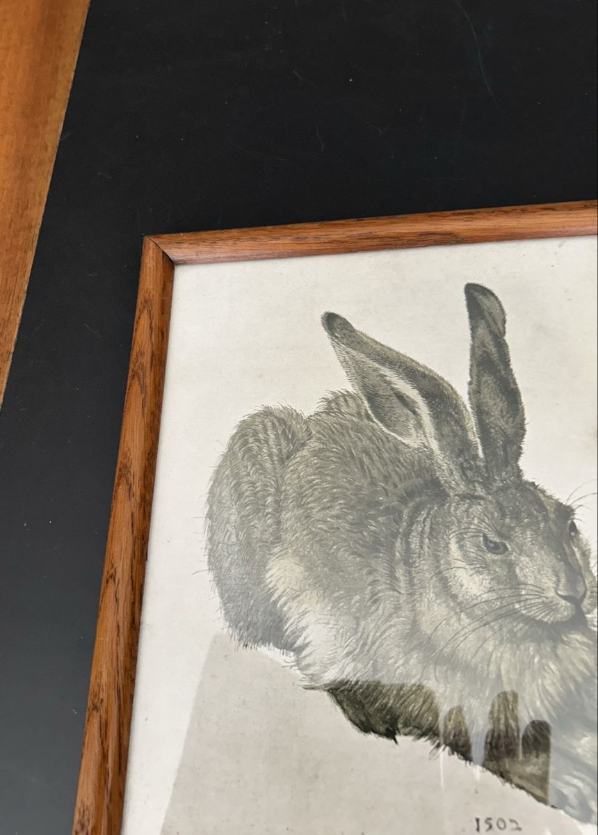 Alter Druck von Albrecht Dürer Feldhase (Gebraucht) in Zumikon für