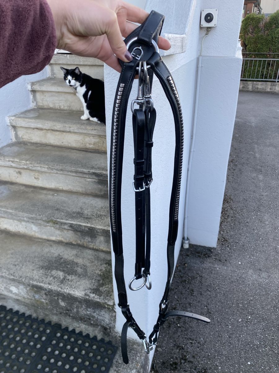Brides, licols: Vorderzeug Clincher – D'occasion à Wohlen AG par bey_jcy5