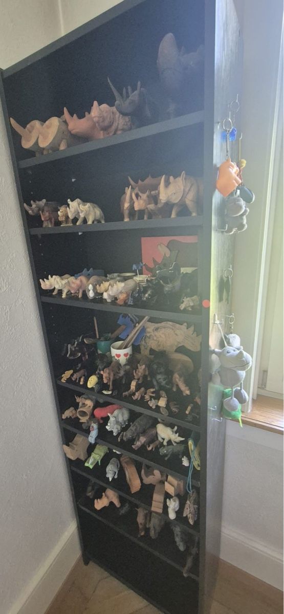 Figurines:  Konvolut Nashörner – D'occasion à Zürich par Ricardoline 1