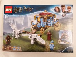 Lego 75958 Harry Potter