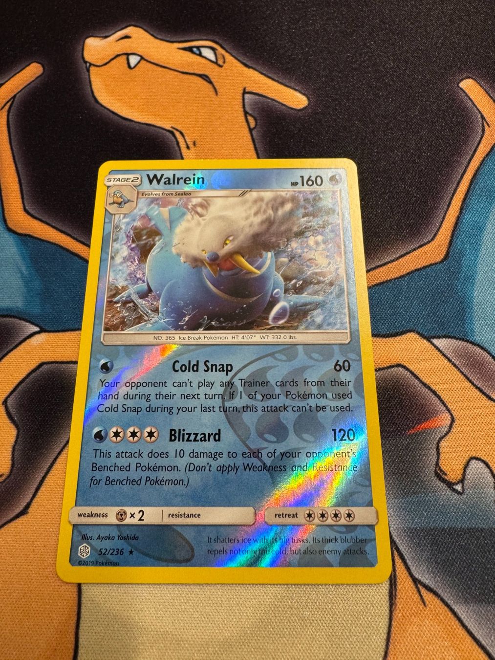 Pokémon Carte collezionabili: Walrein (CEC 52) - Reverse Holo - Cosmic Eclipse – Nuovo (secondo la descrizione) da Bülach venduto da Pfrenzel