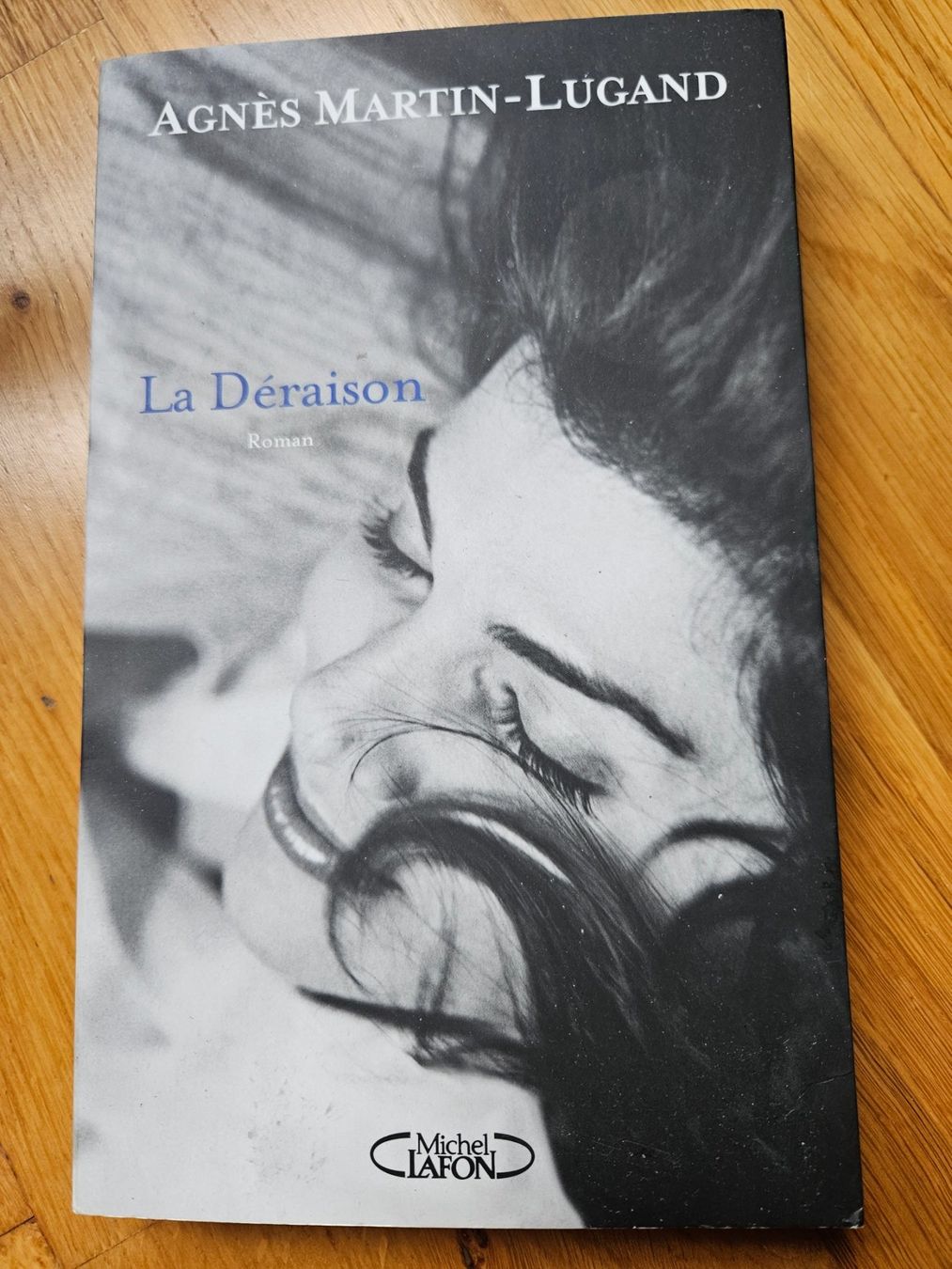 Libri: La Déraison, Agnès Martin-Lugand, roman – Usato da Vevey venduto da chr_q9cd