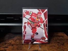 Biel - 03 / 20 - Series 1 - Cajka