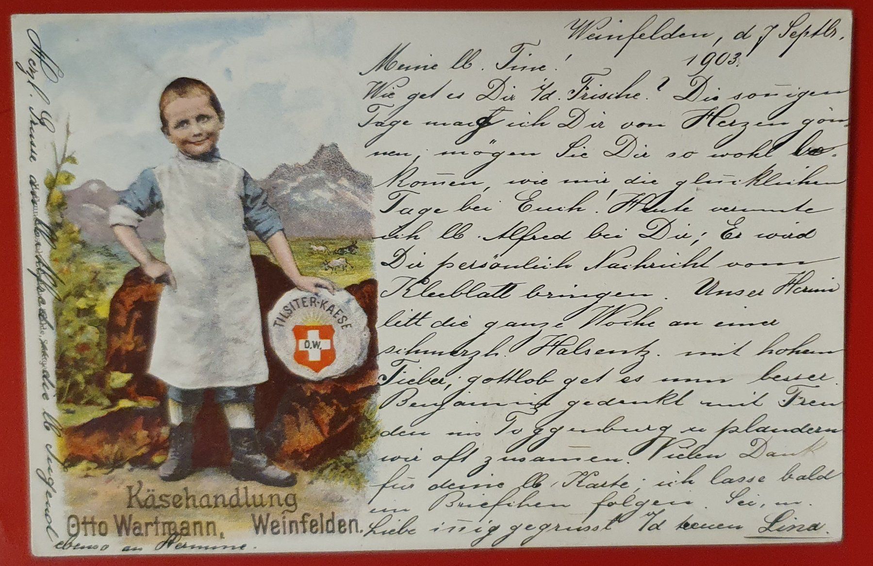Cartoline postali: Weinfelden 1903 - Käsehandlung Otto Wartmann – Usato da Kreuzlingen venduto da Rschweiz1