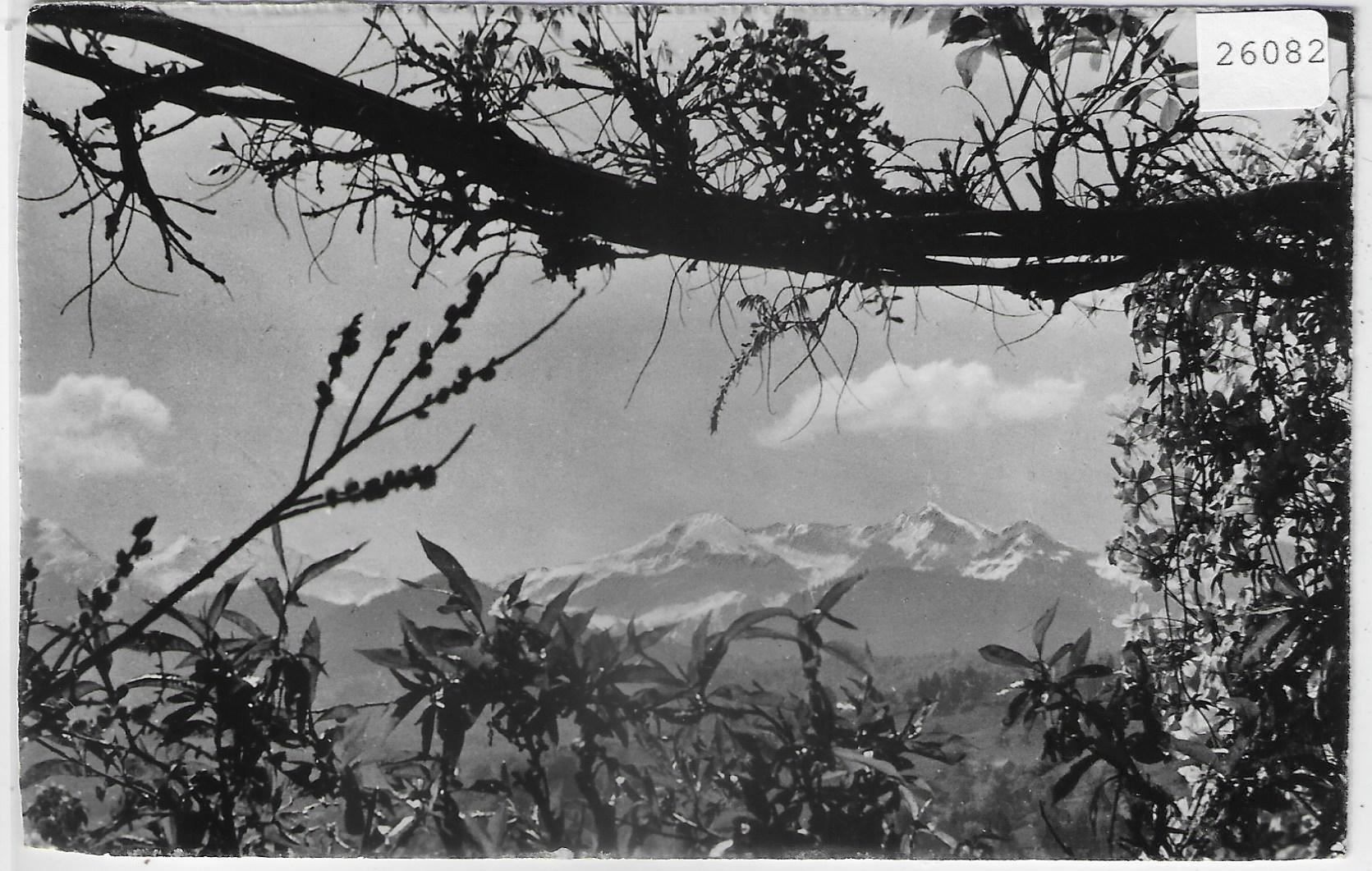 Cartoline postali: Chalet Doris - Faulensee - Aussicht vom – Usato da Ettingen venduto da Kartenplanet