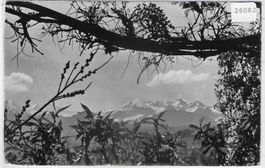 Chalet Doris - Faulensee - Aussicht vom