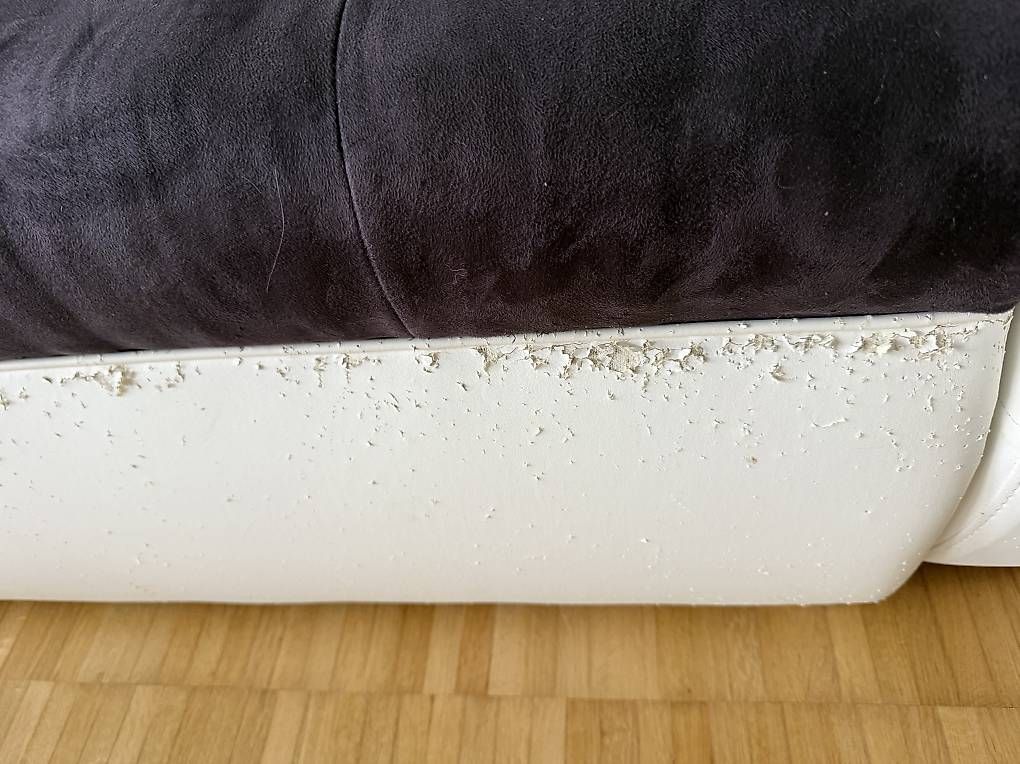 Divani: Sofa – Usato da Oberwil BL venduto da FitmitAloe 2