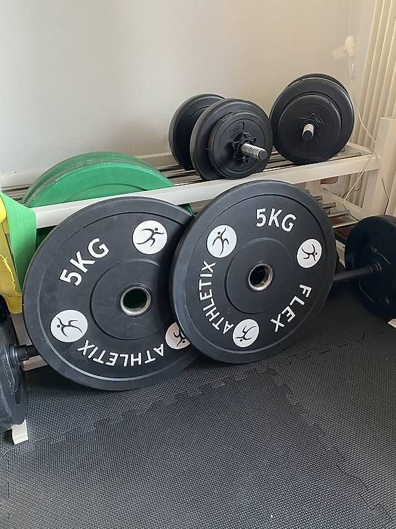 Manubri & Pesi: Gewichtsscheibe Bumper Plate 5kg – Usato da Luzern venduto da Camille6003