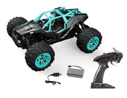 Fun-Racer 1:14 RTR komplett-Set