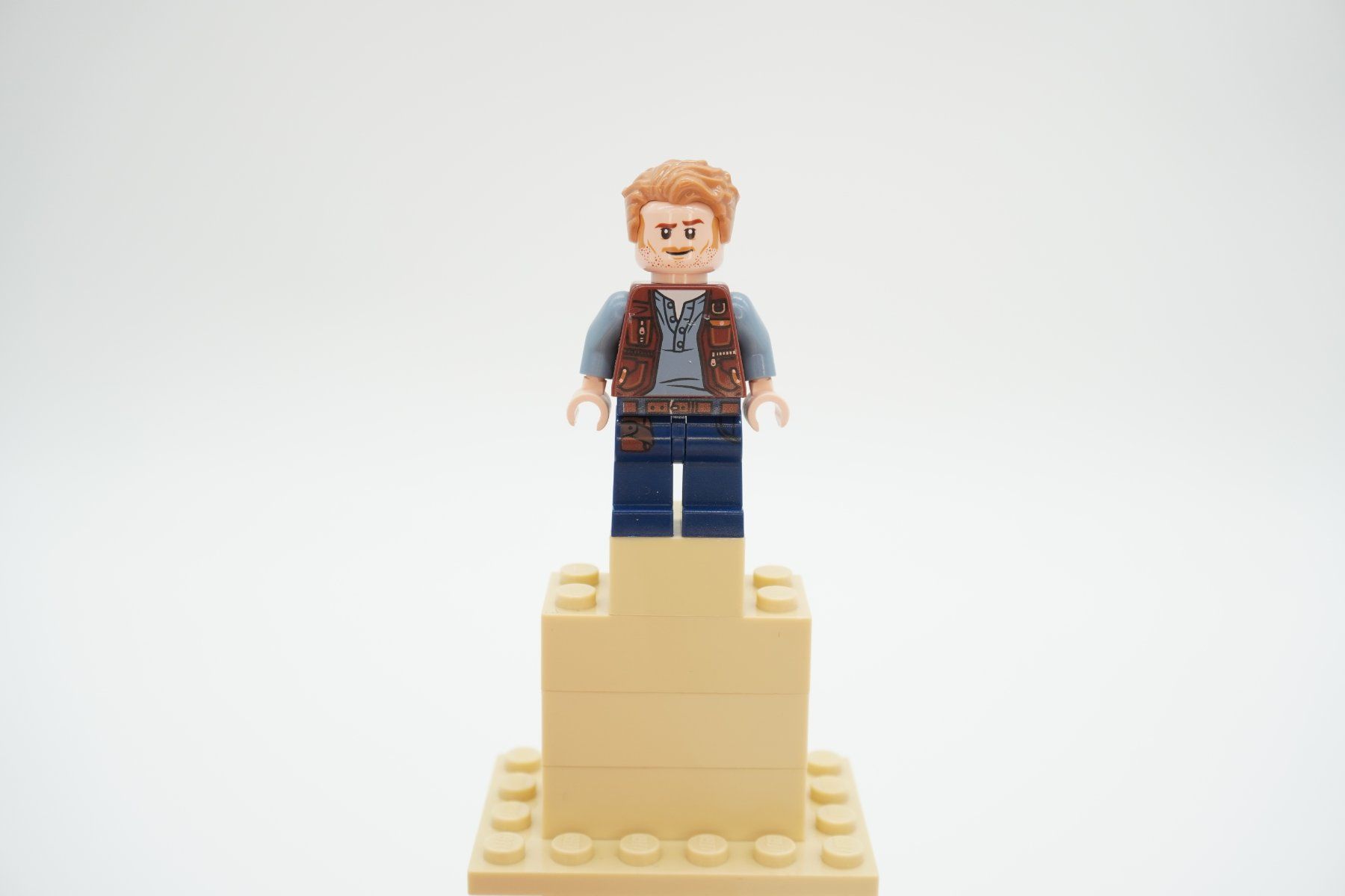 Lego Spielzeuge: Lego Jurassic World Bundle – Gebraucht aus Zürich von PWGrZ 1