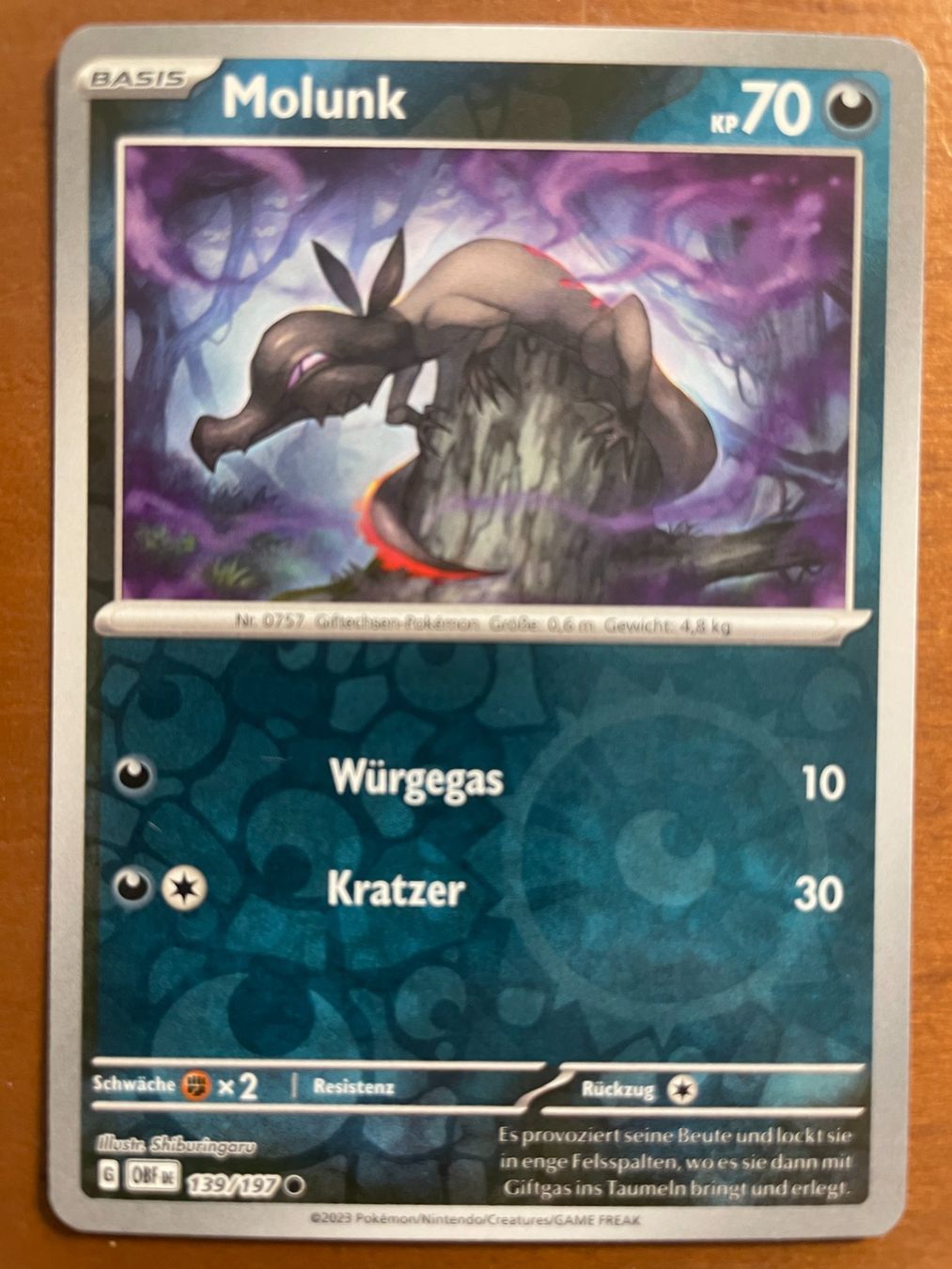 Pokémon Carte collezionabili: Pokemon Molunk Reverse (Versand gratis) – Nuovo (secondo la descrizione) da Chur venduto da Angerson