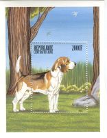 Block "Beagle". Zentralafrikanische Republik.