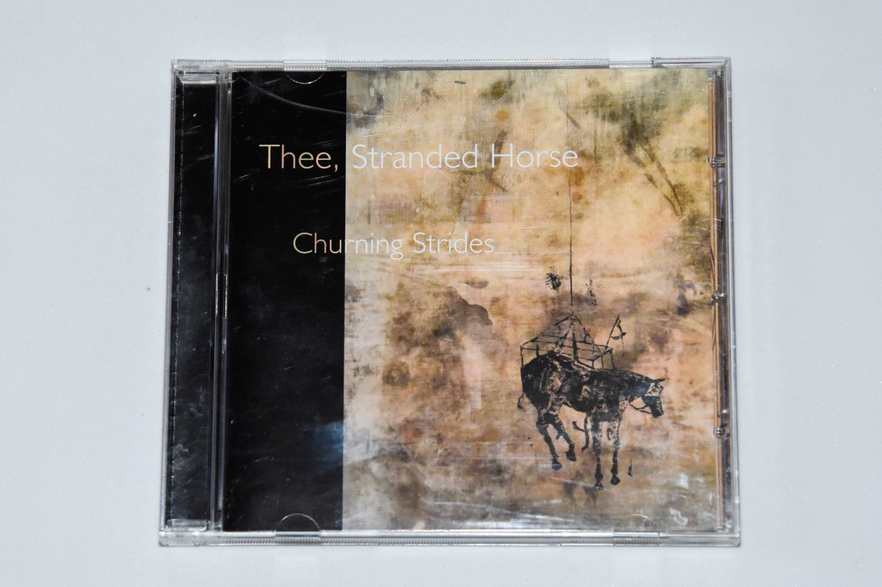 CD: Thee, Stranded Horse - Churning Strides – Usato da Belmont-sur-Yverdon venduto da ag97