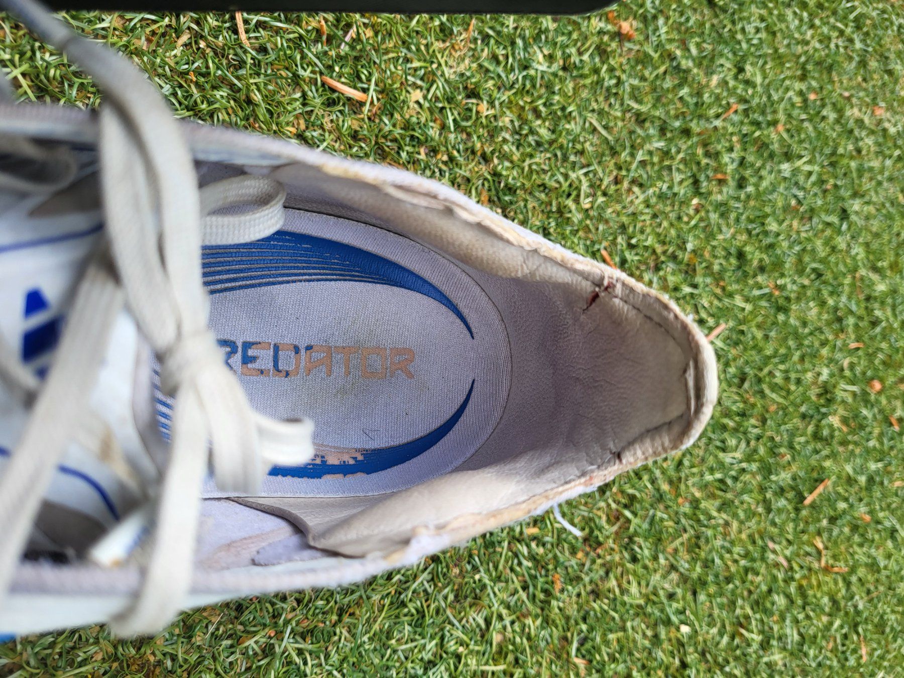 Scarpe da uomo: Fussballschuhe "Predator" – Usato da Uster venduto da gurust 7