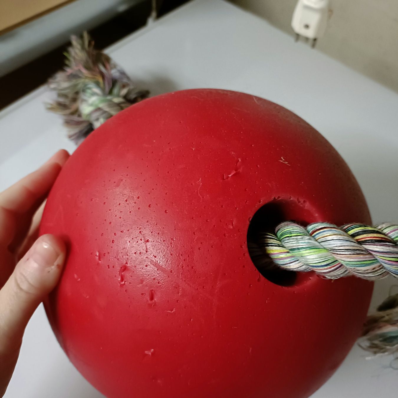 Giocattoli: Hundespielball Jolly Pets Ball Hund oder Pferd RompNRoll – Nuovo (secondo la descrizione) da Sitterdorf venduto da imsis 3