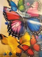 Malen nach Zahlen: Schmetterling 40x50cm