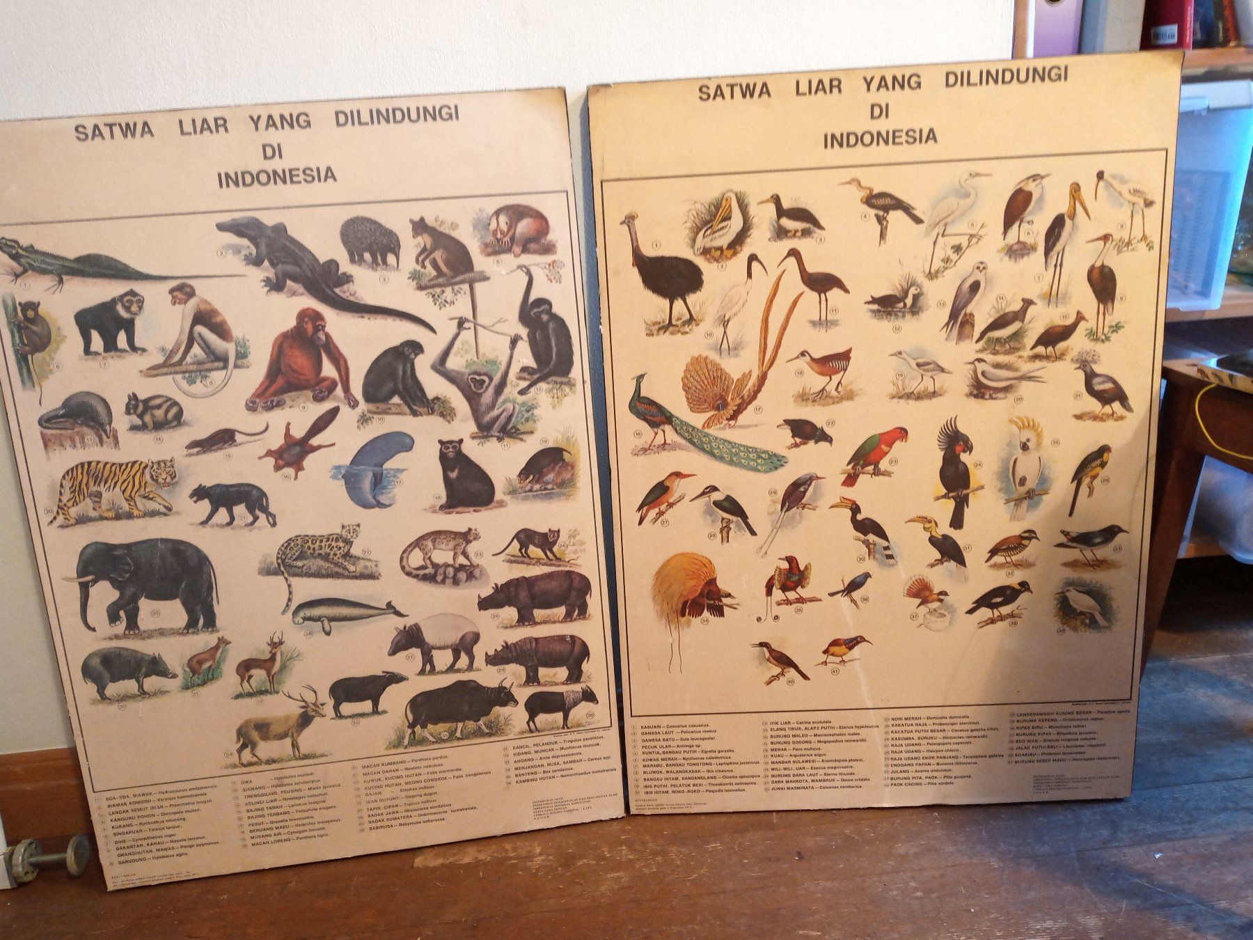 Foto & Immagini: 2 alte Plakat aus 70er – Usato da Prez-vers-Siviriez venduto da Monija70