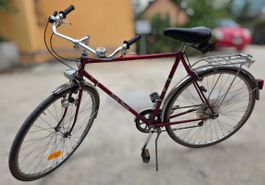 Schweizer Vintage Velo Freddy Riegg Affoltern a.A.