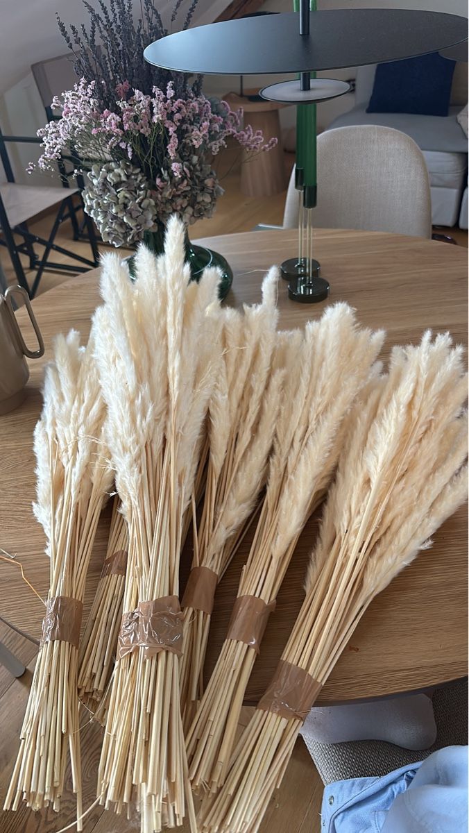 Tutte le decorazioni: Pampasgras, getrocknet, Top! – Nuovo e nell'imballaggio originale da Esslingen venduto da ell_rm5z