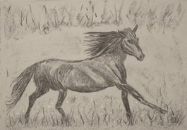 Zeichnung: Black horse