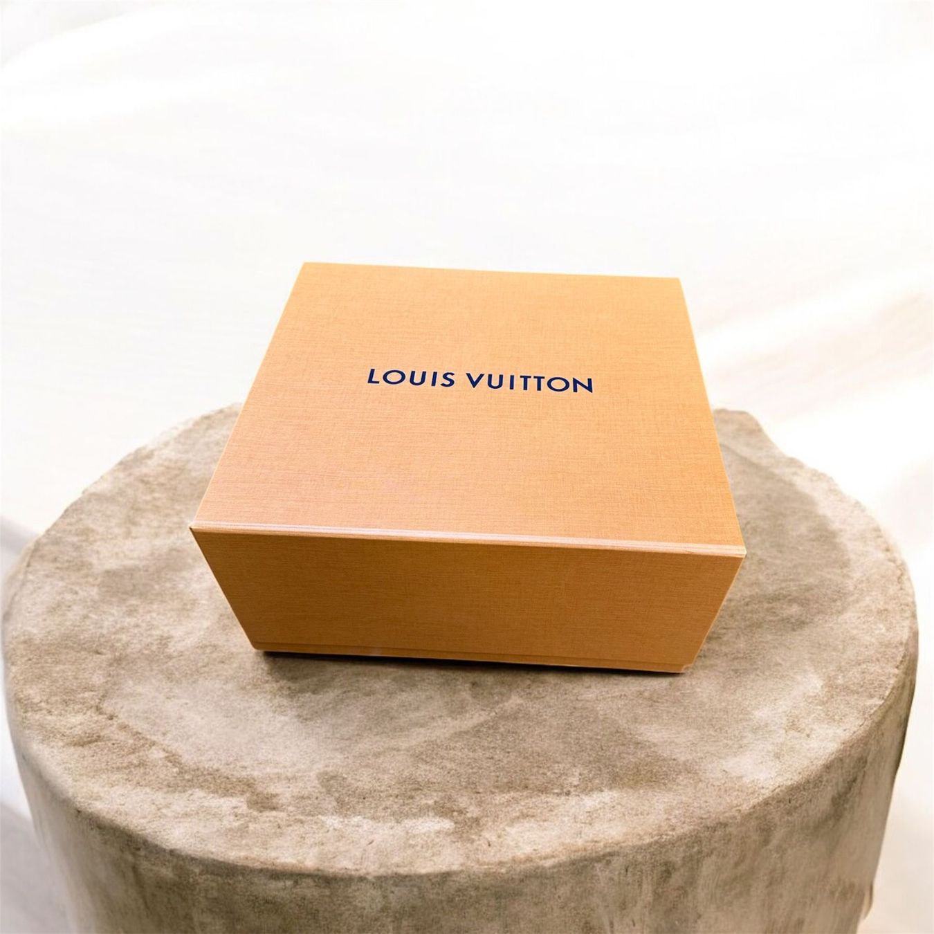 Louis Vuitton Borse: louis vuitton box karton – Nuovo (secondo la descrizione) da Obfelden venduto da val_2dyf