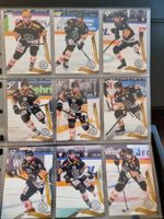 Sportzoo National League 25/26 Series 1 , HC Lugano
