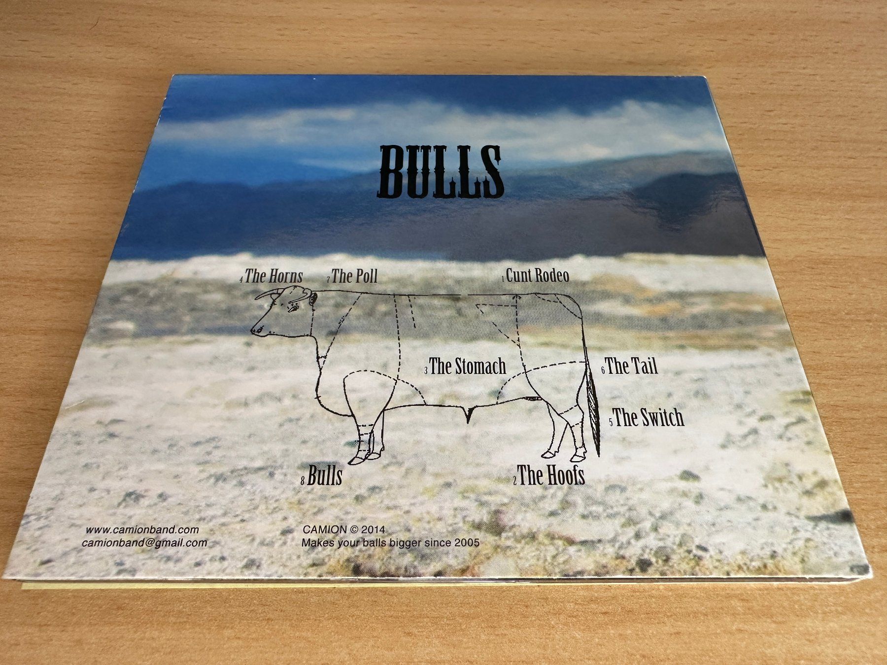 CDs: Camion – Bulls – Gebraucht aus Rikon im Tösstal von Alpenmutz 1