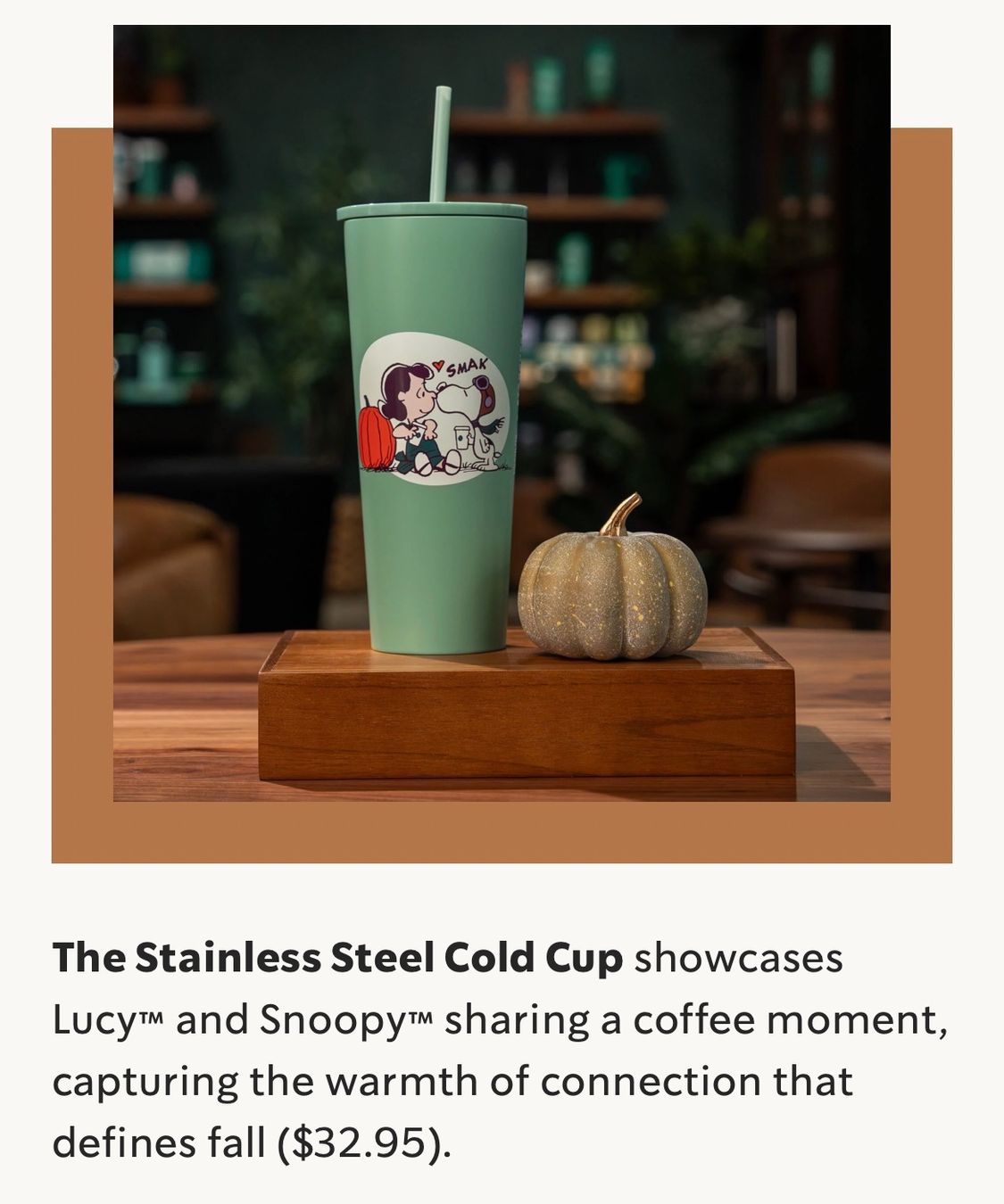 Starbucks Tazze: Snoopy Starbucks – Nuovo e nell'imballaggio originale da Seon venduto da basic19831983 2