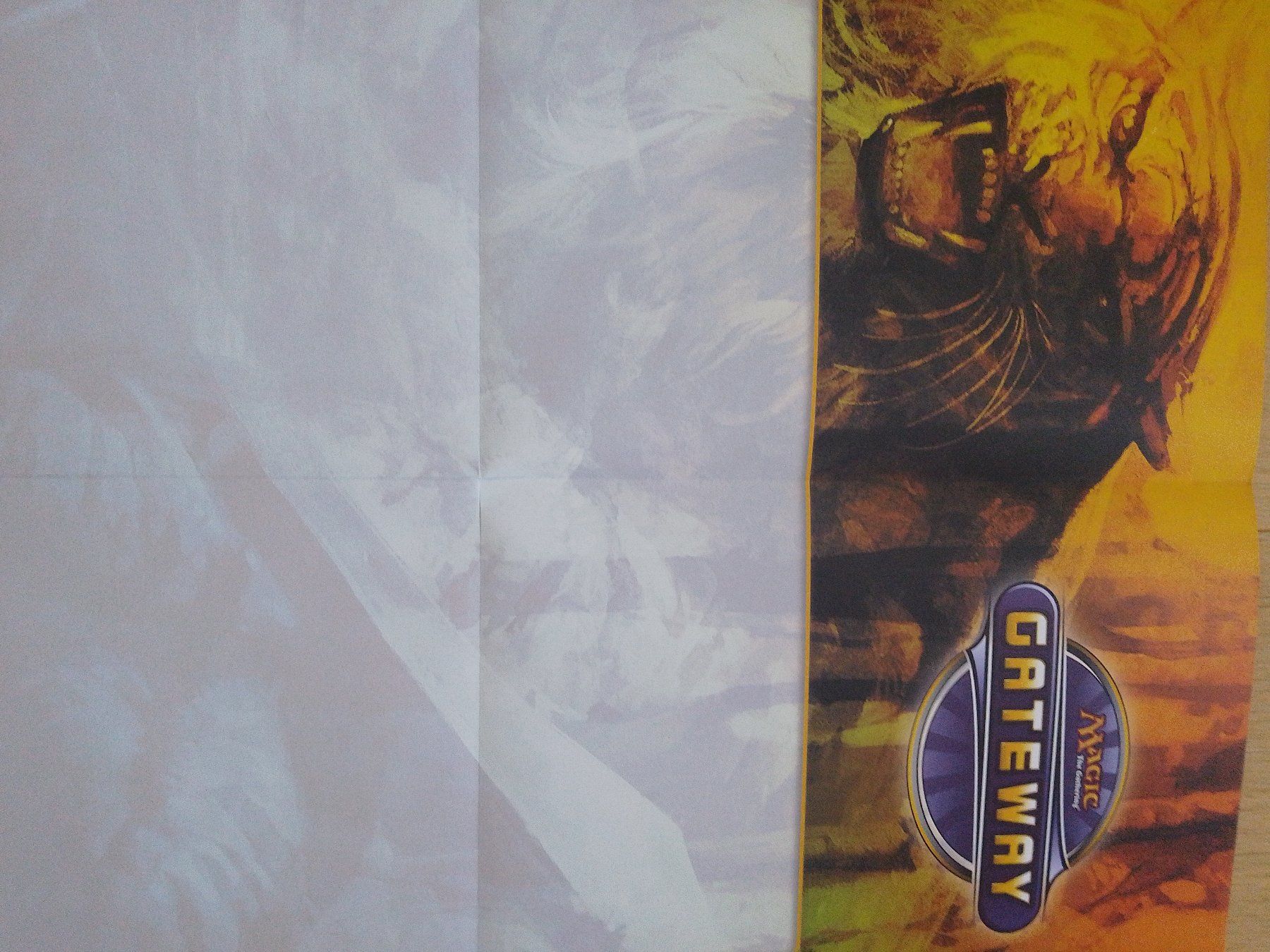 Magic The Gathering Carte collezionabili: Magic the Gathering Poster Gateway Tiger 59 x 42 cm – Usato da Wohlen AG venduto da salamanderspielwaren 1