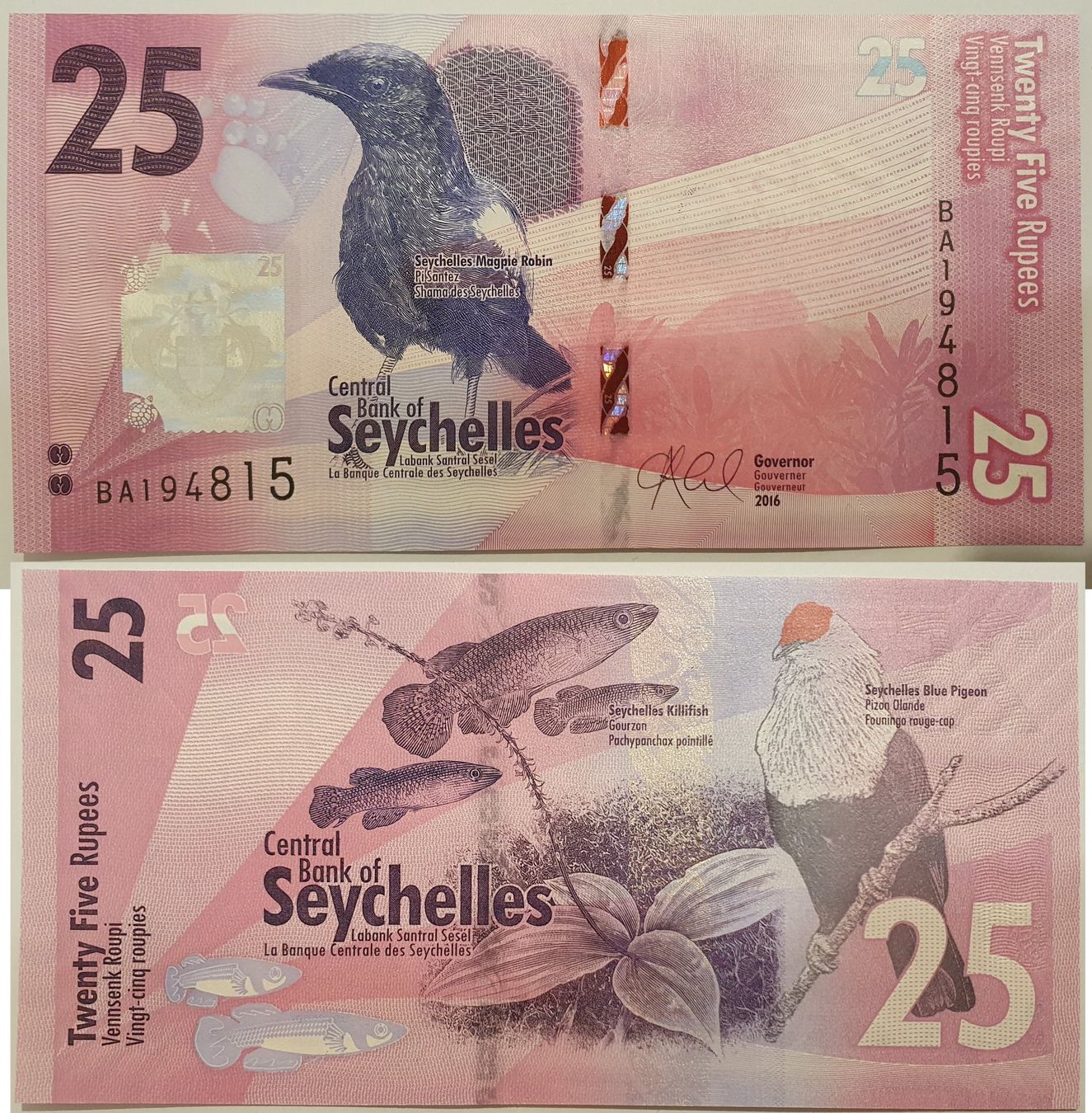 Banconote: Seychelles 25 Rupees Pie bavarde / killi 2016 P-48 Neuf – Nuovo (secondo la descrizione) da Cugy VD venduto da bein-numismatics
