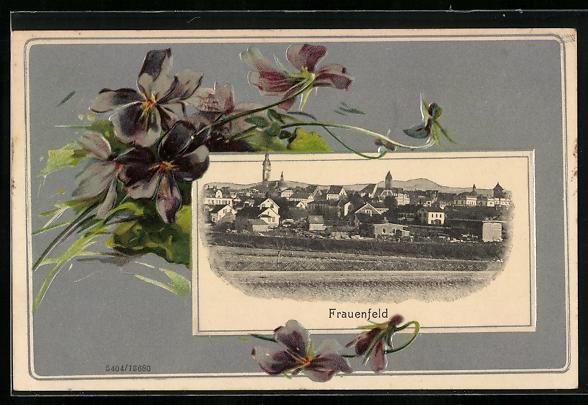 Cartes postales: Frauenfeld, Teilansicht, Veilchen, Passe – D'occasion à Berlin par bartko-reher