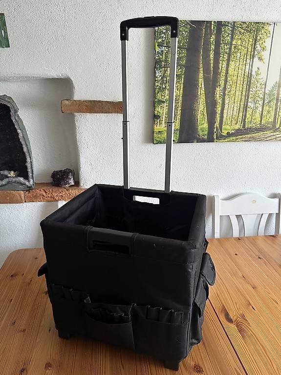 Altro per la casa: Einkaufswagen – Usato da Rebstein venduto da Svnb03