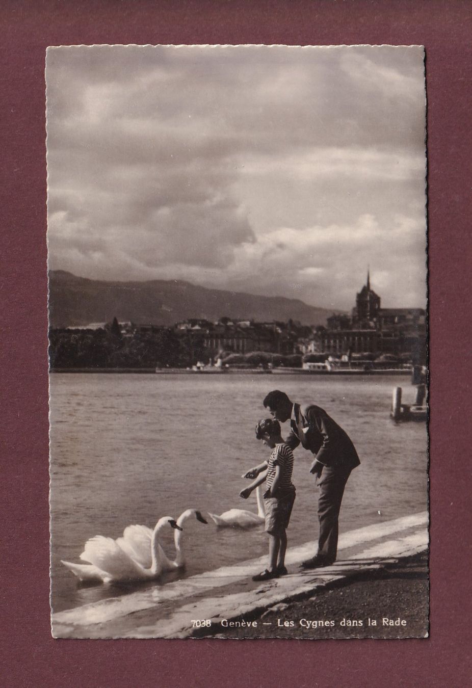 Ansichtskarten: GENEVE - Les Cygnes - 1936 – Gebraucht aus Pully von nicecards