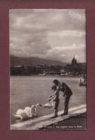 GENEVE - Les Cygnes - 1936