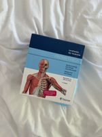 PROMETHEUS LernKarten der Anatomie