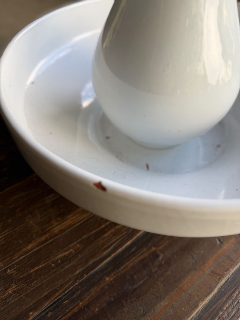 Ciotole: schöne Waschschüssel – Usato da Hettenschwil venduto da tobee62 1