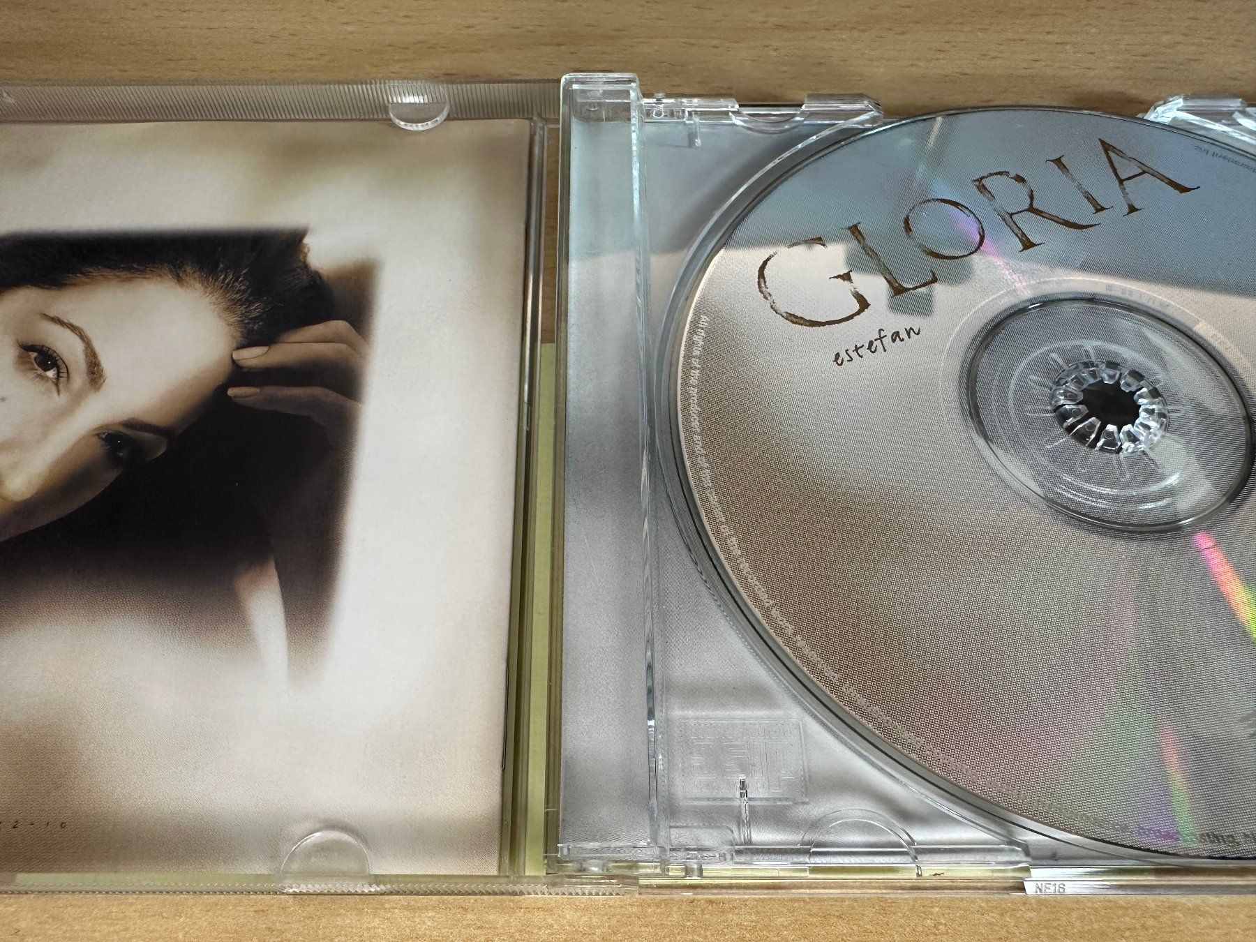 CD: Gloria Estefan – Destiny – Usato da Rikon im Tösstal venduto da Alpenmutz 2