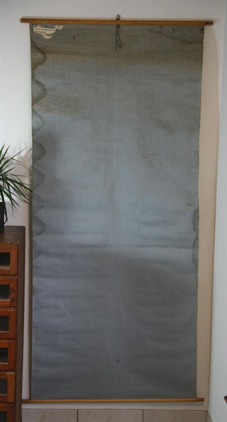 Foto & Immagini: Schulwandbild "Skelett" 184  cm x 89 cm – Usato da Birrwil venduto da brandschatz_birrwil 9