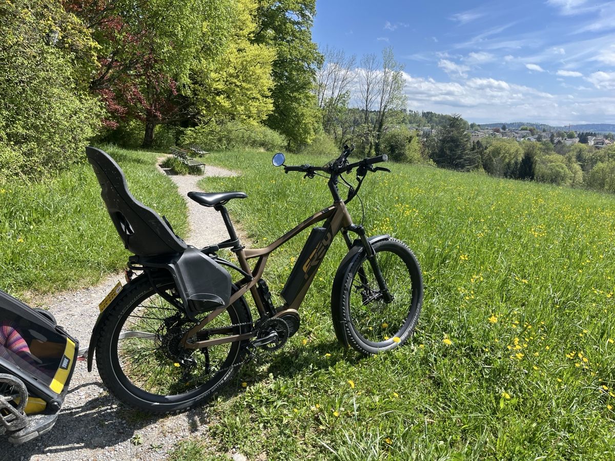 Frey Biciclette: Frey HT1000 Ebike mit 1000W Bafang Motor – Usato da Zürich venduto da felixboewing