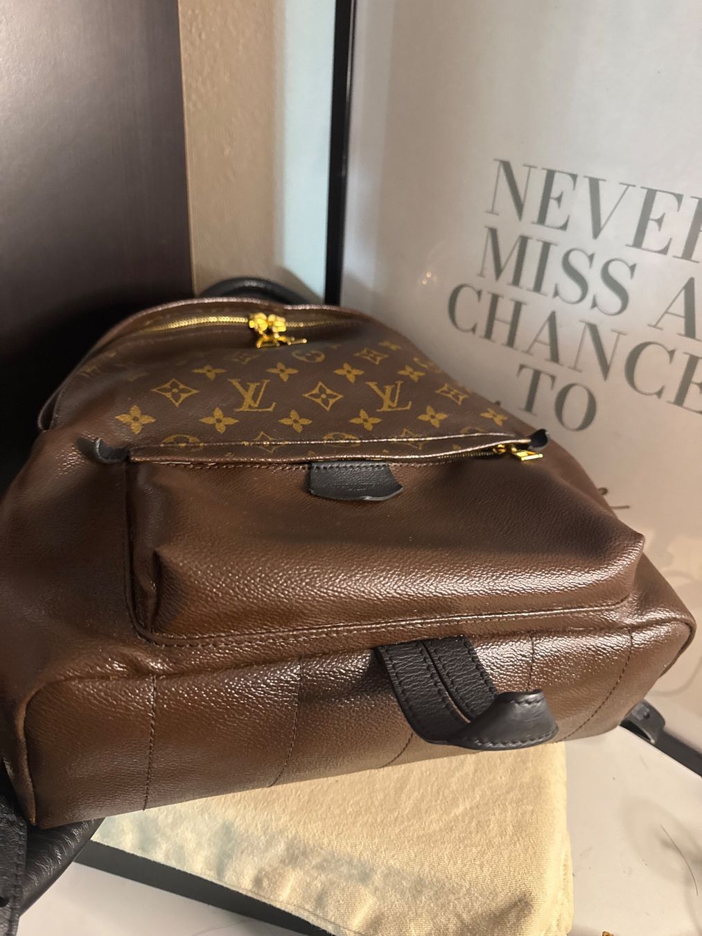 Louis Vuitton Rucksäcke: LOUIS VUITTON PALM SPRINGS SAC A DOS – Gebraucht aus Les Geneveys-sur-Coffrane von LVMM 3