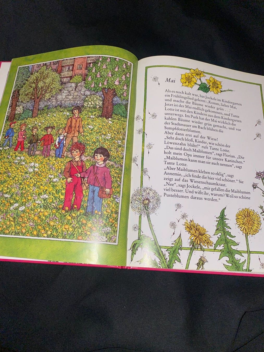 Libri: Meine allerliebsten Blumen – Usato da Allenwinden venduto da Obalu 2