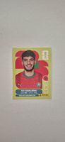 Panini MAR 17