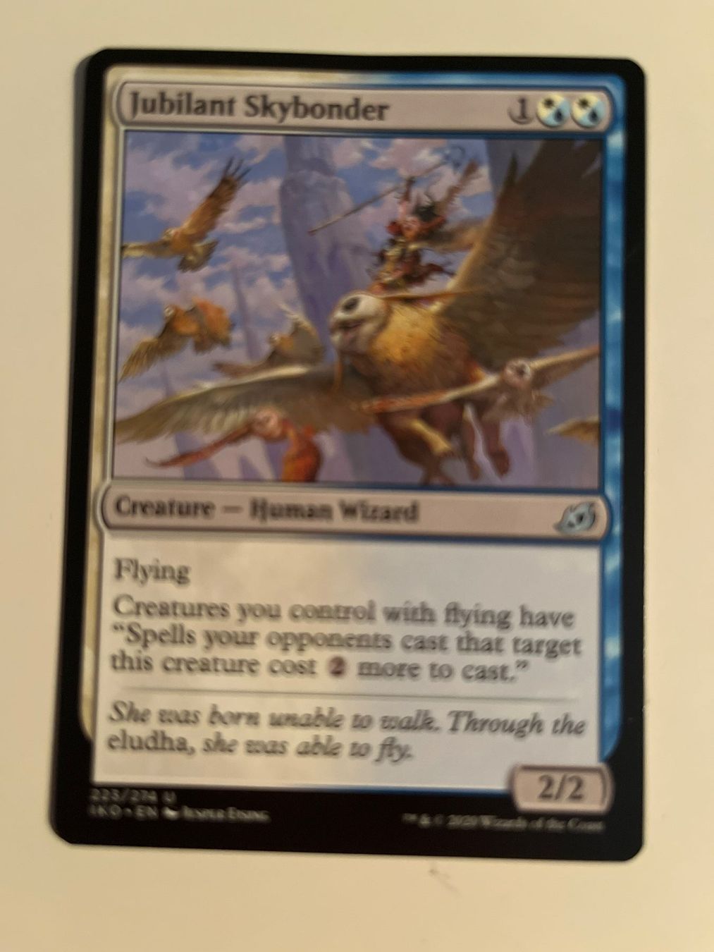 Magic The Gathering Carte collezionabili: 1 x Jubilant Skybonder - Magic: The Gathering - MtG – Usato da Kriens venduto da Shadi1980
