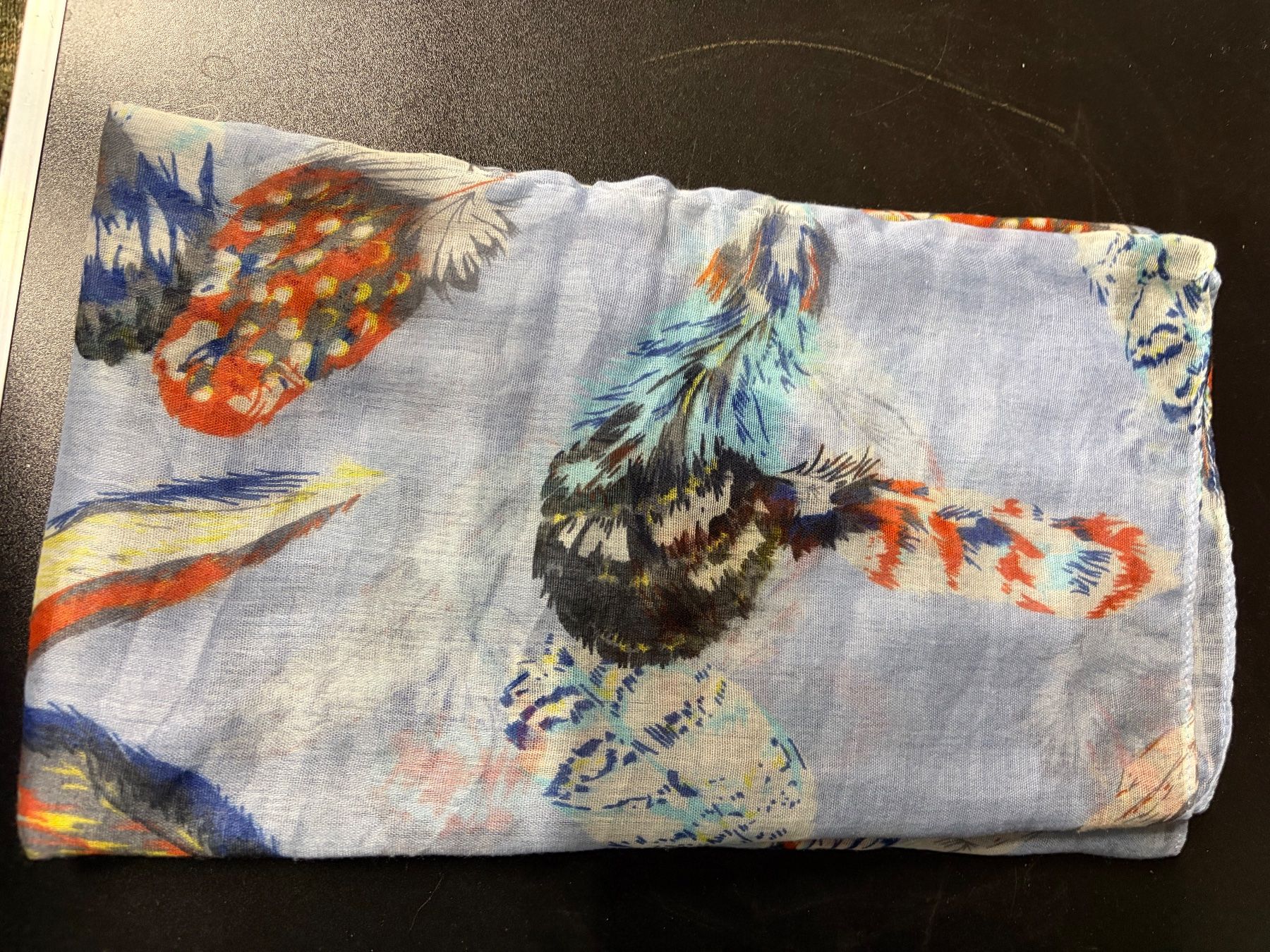 Foulards, Tücher & Schals: Loop – Gebraucht aus Obergösgen von Andre118 1