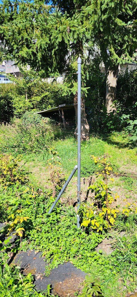 Autres décorations pour le jardin: Spalier – D'occasion à Rüttenen par Ediholz 1