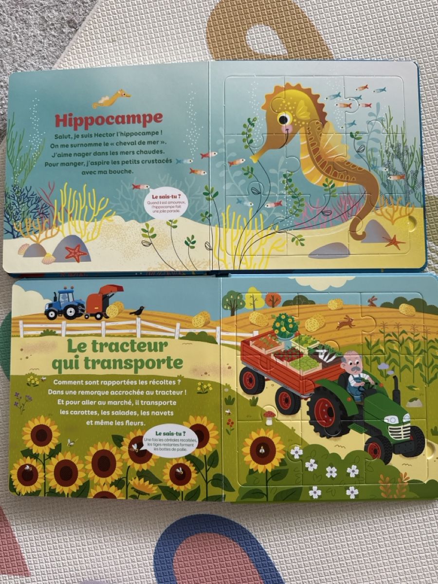 Bücher: 2 Puzzle books in French – Gebraucht aus Zug von axx3l 5