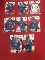 Panini France Hero Karten,Top Zustand,Komplettes Set!